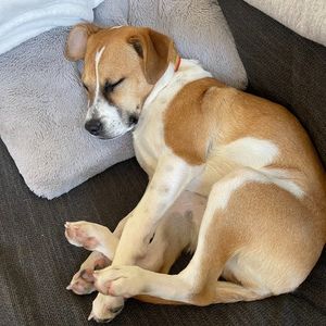 Meet your Posher, James